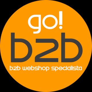 goB2B.hu - B2B webshop készítés